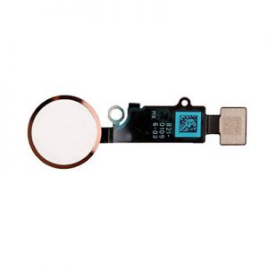 Thay nút home iPhone 8, 8 Plus